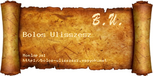 Bolos Ulisszesz névjegykártya